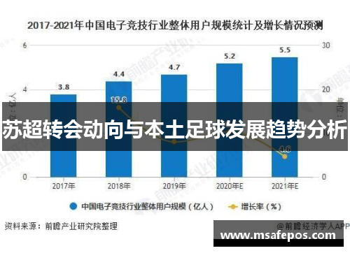 苏超转会动向与本土足球发展趋势分析